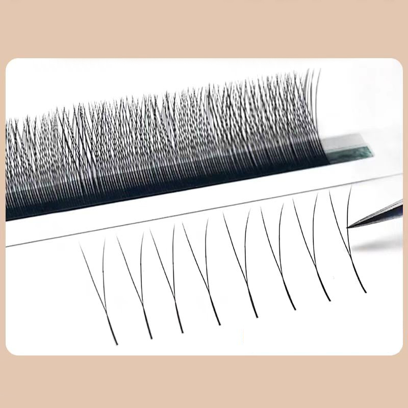 MARIA 2D Y Shape Eyelashes Han - Eyelash Extension Human Hair reseña y precio