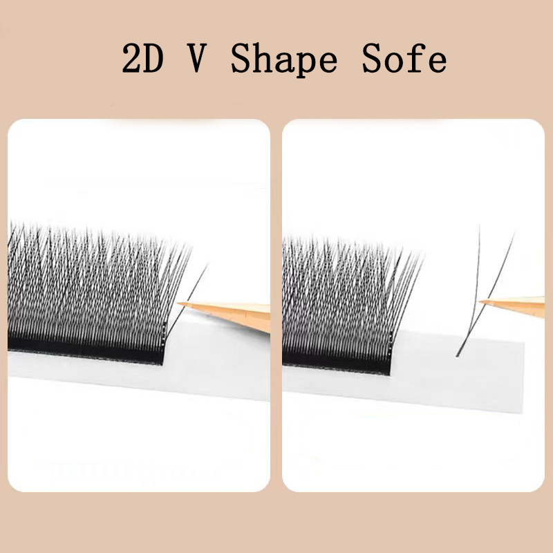 MARIA 2D Y Shape Eyelashes Han - Eyelash Extension Human Hair reseña y precio