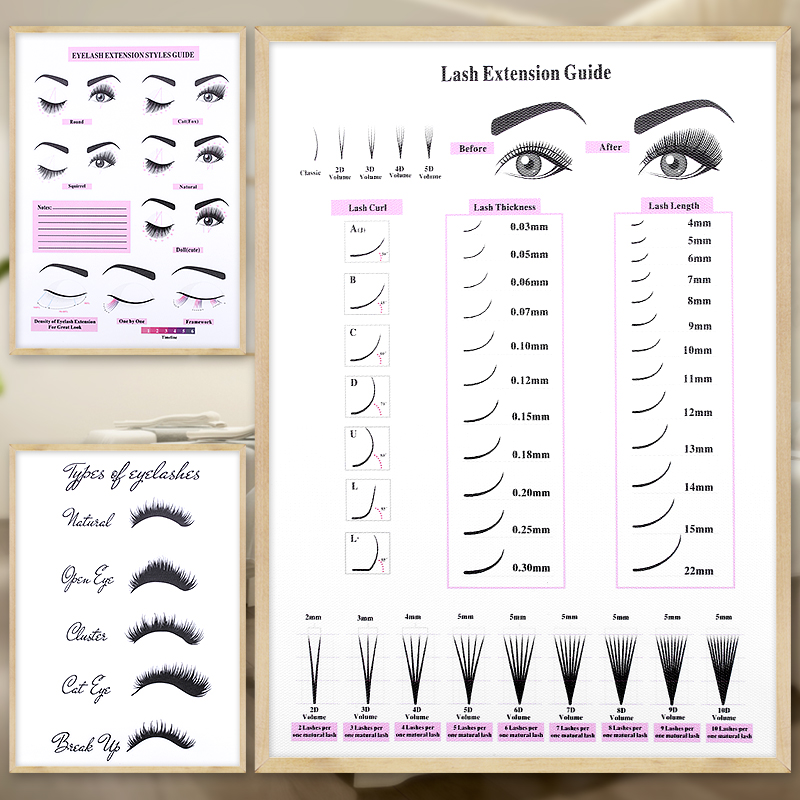 Lash Extensions Guide Poster P - Eyelash Extension Aftercare reseña y precio